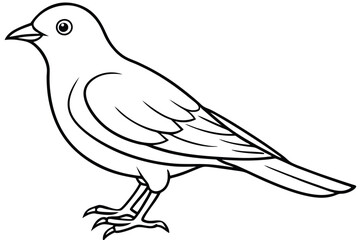 Obraz premium lark silhouette line art vector illustration with a white background