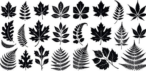 Leaf and Fern Silhouettes for Nature Inspired Design