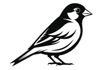 goldfinch silhouette line art vector illustration with a white background
