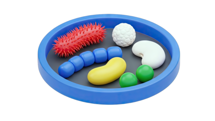 3D Render of a Cell Model on a Blue Tray