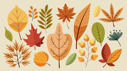 Fototapeta premium Colorful assortment of autumn leaves and foliage
