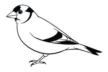 goldfinch silhouette line art vector illustration with a white background