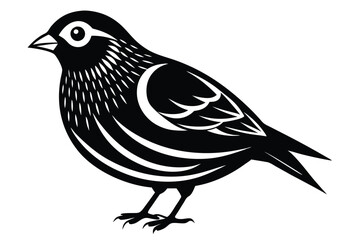 Obraz premium finch silhouette line art vector illustration with a white background