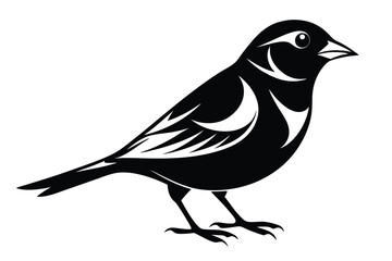Obraz premium finch silhouette line art vector illustration with a white background