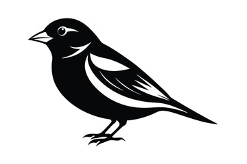 Obraz premium finch silhouette line art vector illustration with a white background