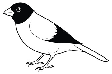 Obraz premium finch silhouette line art vector illustration with a white background