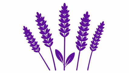 Naklejka premium bunch of lavender flowers