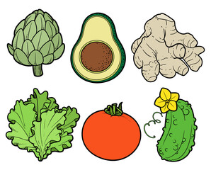 Artichoke, avocado, ginger root, tomato, cucumber and lettuce color illustration with outline on white background