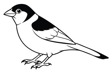 Obraz premium finch silhouette line art vector illustration with a white background