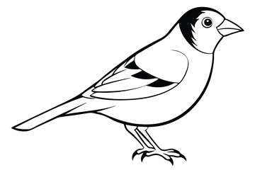 Obraz premium finch silhouette line art vector illustration with a white background