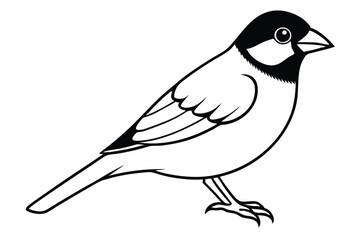 Obraz premium finch silhouette line art vector illustration with a white background