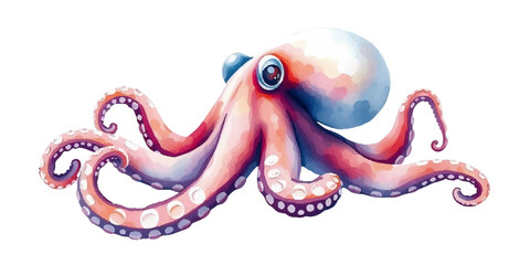Cute watercolor octopus Sea creatures Marine life Cute cartoon octopus Aquatic fauna Animal sea mollusk,hand drawn, isolated on white background, vector © Victoriya