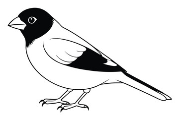 Obraz premium finch silhouette line art vector illustration with a white background