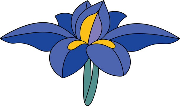 Stylized illustration of a vibrant blue iris flower with yellow accents