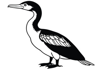 cormorant silhouette line art vector illustration with a white background