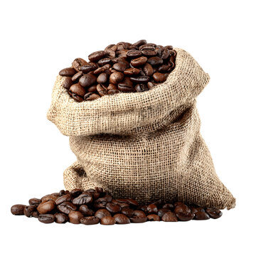 Coffee Bean Scene with Open Jute Sack Isolated - Professional Stock Photo