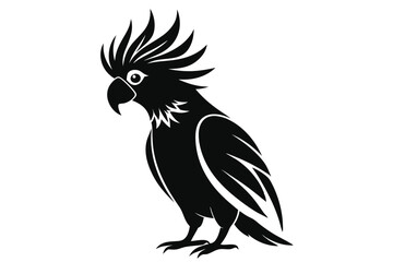 Obraz premium cockatoo silhouette line art vector illustration with a white background