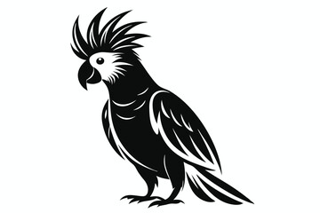 Obraz premium cockatoo silhouette line art vector illustration with a white background