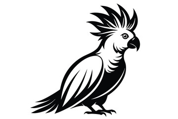 Obraz premium cockatoo silhouette line art vector illustration with a white background