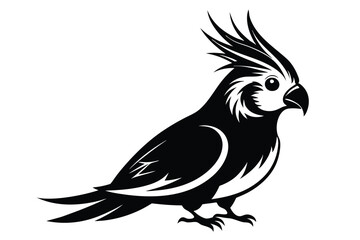 Obraz premium cockatiel silhouette line art vector illustration with a white background