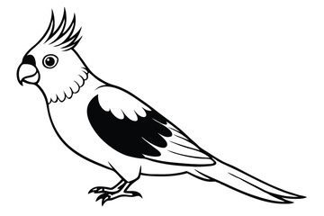 cockatiel silhouette line art vector illustration with a white background