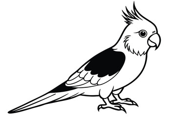 cockatiel silhouette line art vector illustration with a white background