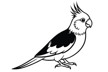 cockatiel silhouette line art vector illustration with a white background