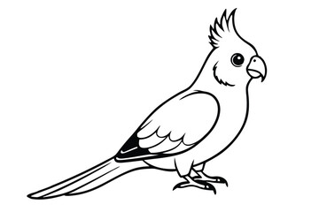 cockatiel silhouette line art vector illustration with a white background