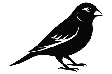 canary silhouette line art vector illustration with a white background