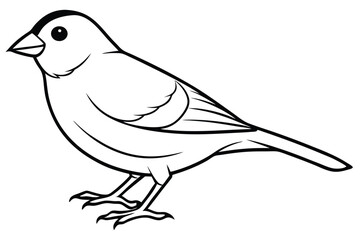 canary silhouette line art vector illustration with a white background
