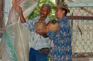 An older couple stands inside a rustic shelter, jointly holding two large dry coconuts, showing a moment of shared labor and collaboration after harvesting fallen fruit from the field.