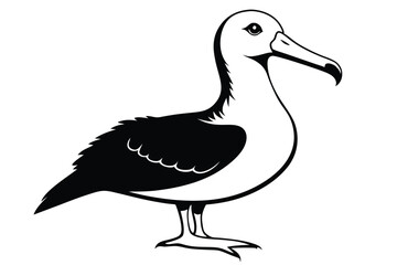 albatross silhouette line art vector illustration with a white background