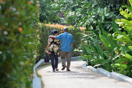 A rear view shows an older couple walking away down a paved park path lined with tropical plants and hedges, the man's arm rests on his wife's shoulder in companionship.
