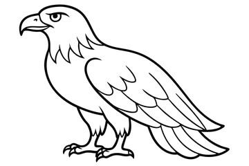 Obraz premium eagle silhouette line art vector illustration with a white background