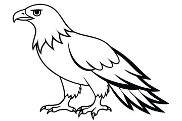 Obraz premium eagle silhouette line art vector illustration with a white background