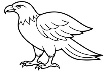Obraz premium eagle silhouette line art vector illustration with a white background