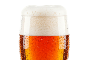 Close up of a tall glass filled with amber beer and frothy white head isolated on a transparent background