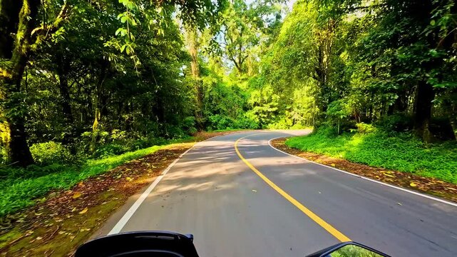 Scenic Lombok forest road with lush greenery and winding curves, perfect for peaceful nature rides