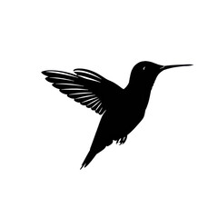 Fototapeta premium silhouette of an adult male hummingbird hovering in dynamic mid-flight, rendered in precise matte black vector graphic lines on a transparent background, concept of corporate identity and