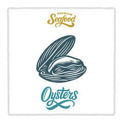 Hand drawn oysters in vintage engraving style with premium seafood and oysters lettering. Classic design for seafood branding themes. Perfect for menus, labels, and packaging. Part of set.