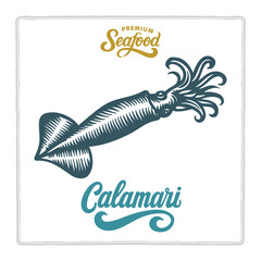 Hand drawn calamari in vintage engraving style with premium seafood and calamari lettering. Classic design for seafood branding themes. Perfect for menus, labels, and packaging. Part of set.