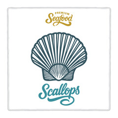 Hand drawn scallops in vintage engraving style with premium seafood and scallops lettering. Classic design for seafood branding themes. Perfect for menus, labels, and packaging. Part of set.