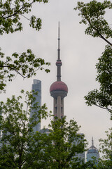 Oriental pearl tower behind the trees in Shanghai