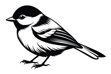 chickadee silhouette line art vector illustration with a white background