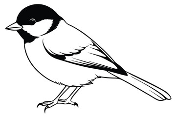 chickadee silhouette line art vector illustration with a white background