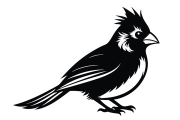 Obraz premium cardinal silhouette line art vector illustration with a white background
