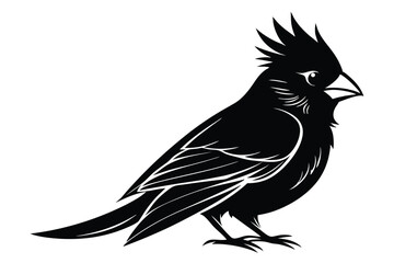 Obraz premium cardinal silhouette line art vector illustration with a white background