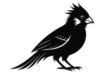 Obraz premium cardinal silhouette line art vector illustration with a white background