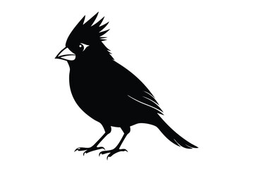 Obraz premium cardinal silhouette line art vector illustration with a white background