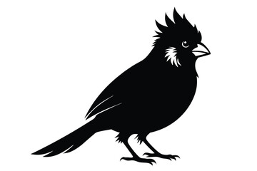 Obraz premium cardinal silhouette line art vector illustration with a white background